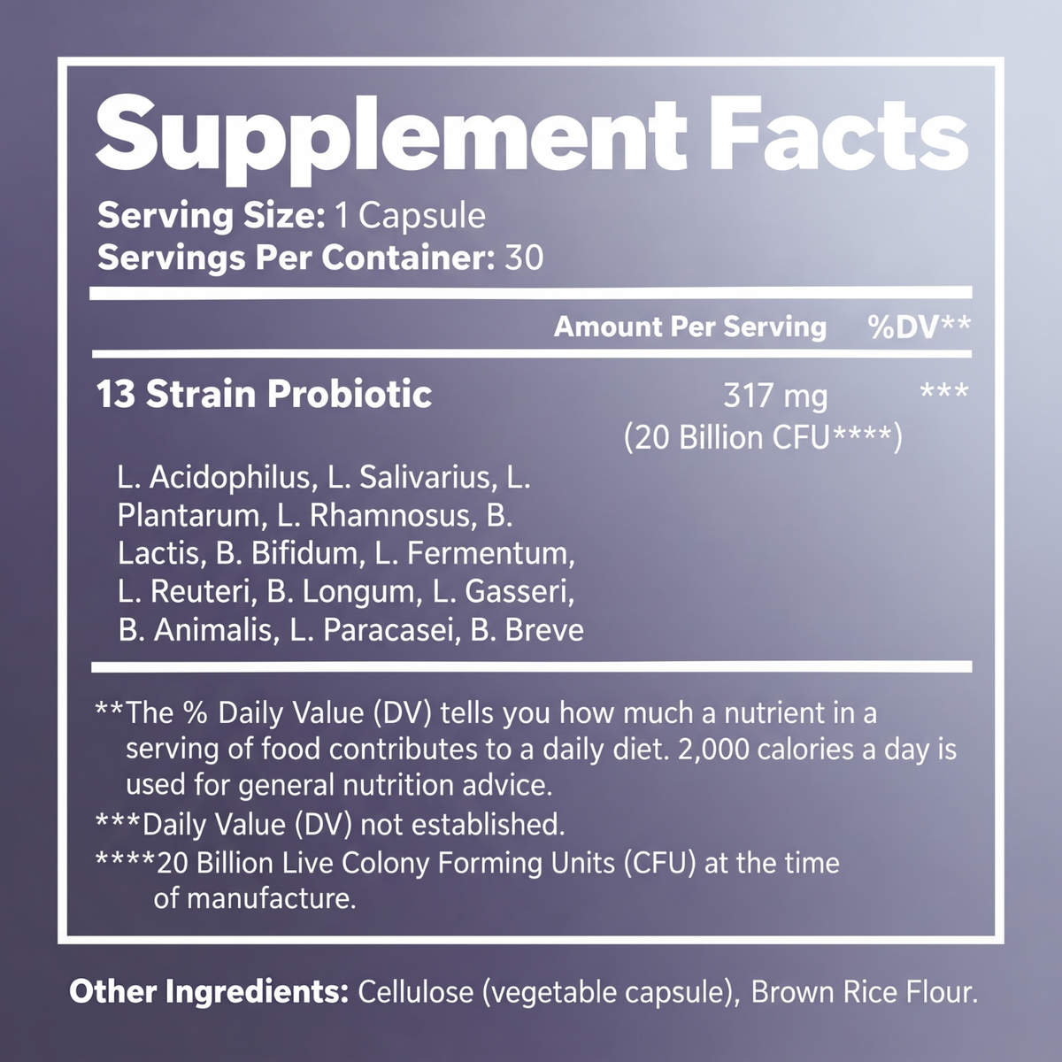 Probiotic - Gut and Digestive Support